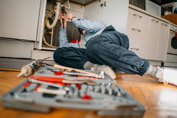 Best Plumbing Inspection Services  in Joseph City, AZ