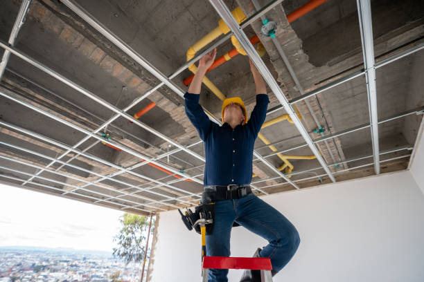 Best Local Plumber Services  in Joseph City, AZ